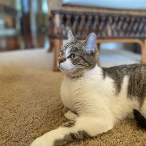 Meet your Posher, Ellie